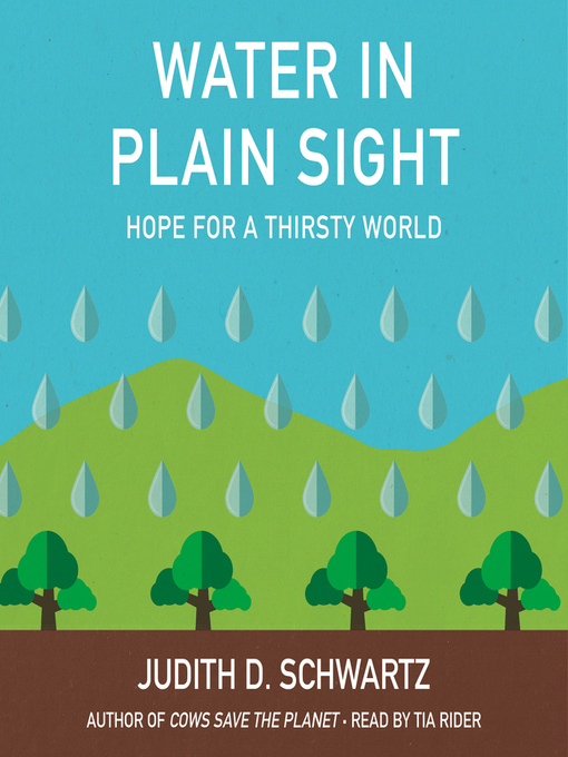 Title details for Water in Plain Sight by Judith D. Schwartz - Wait list